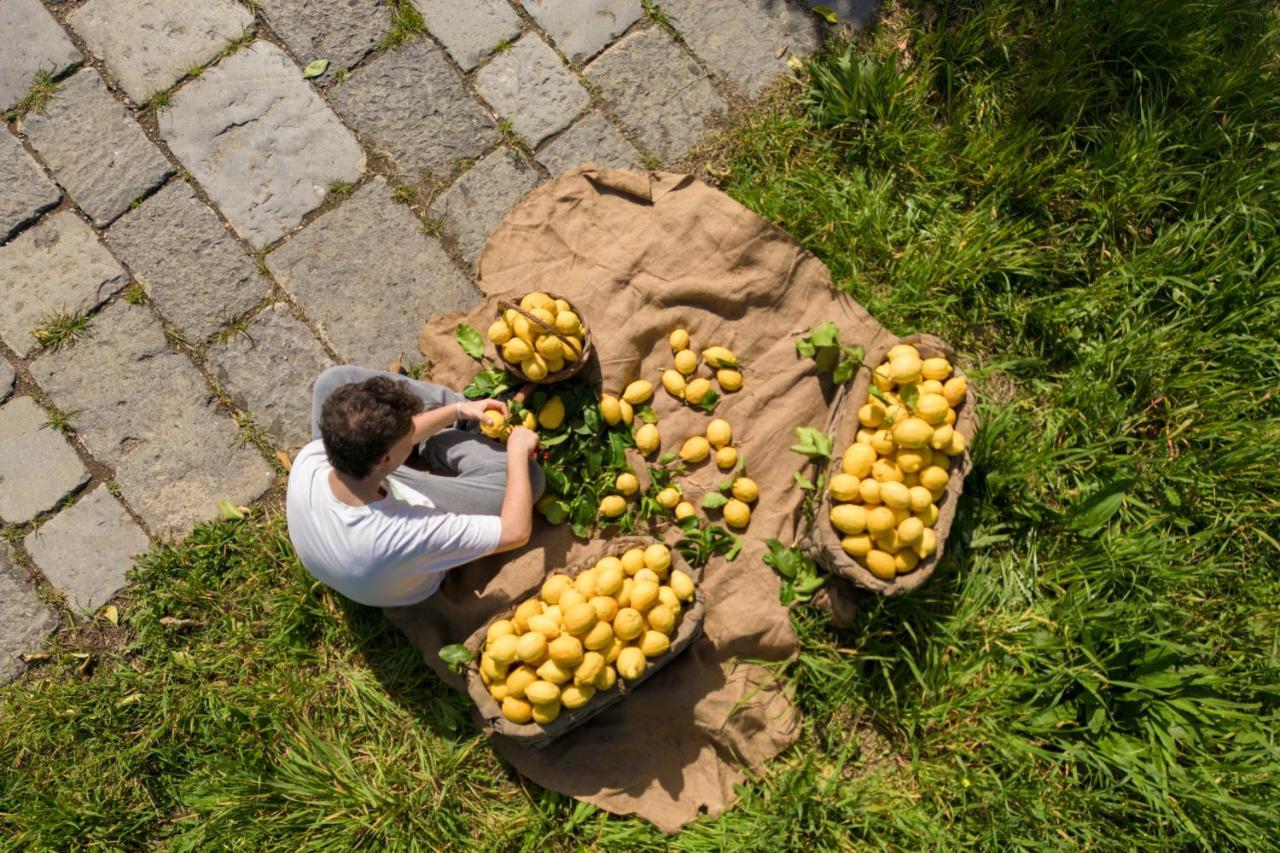 Tenuta Di Leva Piano di Sorrento Bagian luar foto