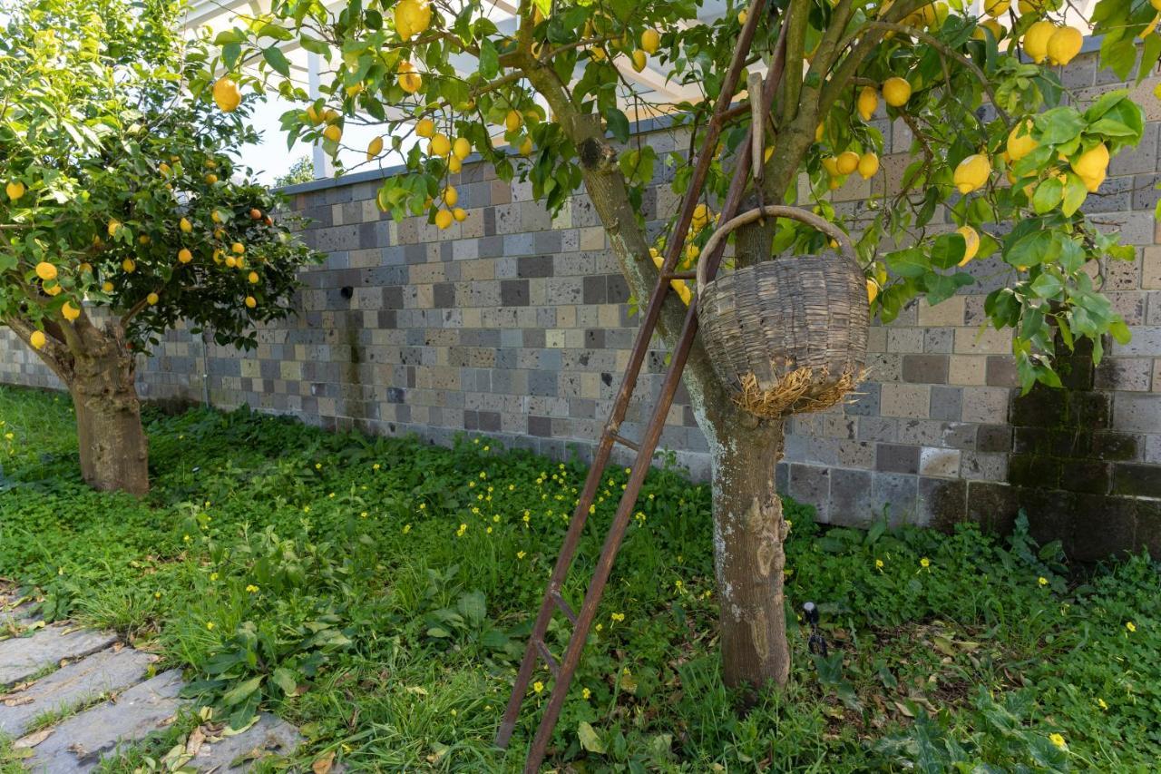 Tenuta Di Leva Piano di Sorrento Bagian luar foto